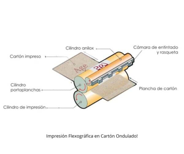 Impresión Flexográfica en Cartón Ondulado Mantén la Perfección con